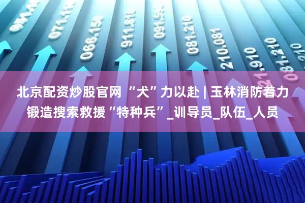 北京配资炒股官网 “犬”力以赴 | 玉林消防着力锻造搜索救援“特种兵”_训导员_队伍_人员