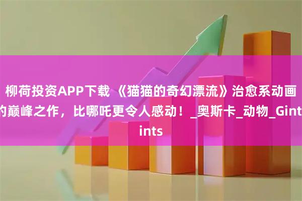 柳荷投资APP下载 《猫猫的奇幻漂流》治愈系动画的巅峰之作，比哪吒更令人感动！_奥斯卡_动物_Gints