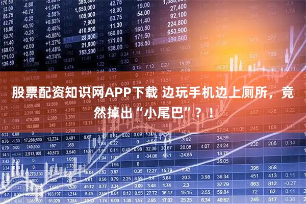 股票配资知识网APP下载 边玩手机边上厕所，竟然掉出“小尾巴”？！